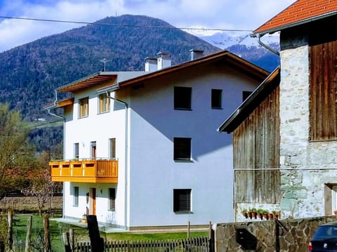 Pferdehof Ansteingut Farm Stay in Trentino-South Tyrol