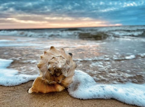 Key West Cottages Villa in Chincoteague Island
