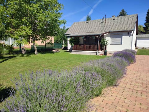 Summer, Garden