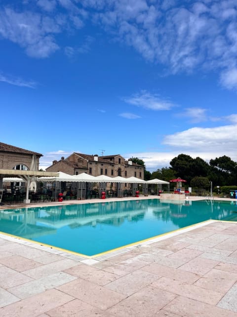 Day, Pool view, Swimming pool, sunbed