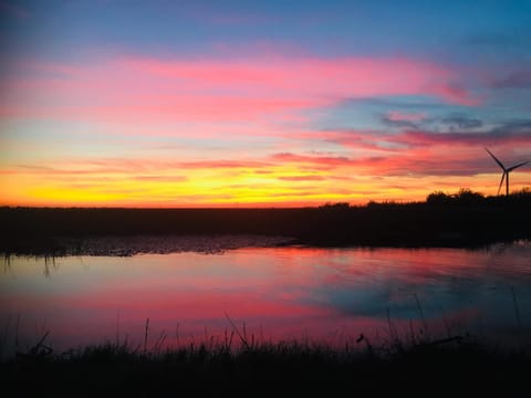 White House Farm Cottages House in Daventry District