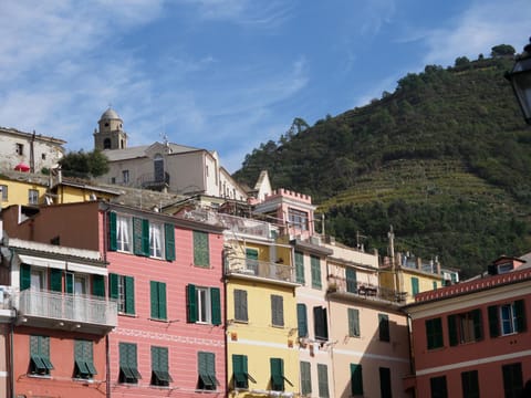 La Torretta dei Merli Studio with Unique Views Apartment in Vernazza