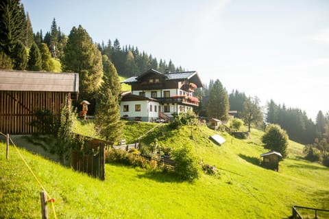 Property building, Summer