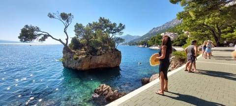 Apartments Vranjes Deluxe Apartment in Brela