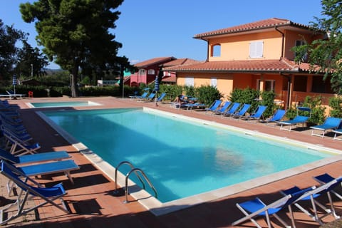 Garden, Pool view, Swimming pool