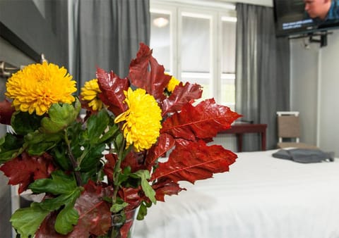 Hotelli & Ravintola Martinhovi Hotel in Turku