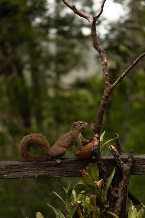 Pousada Paraiso Inn in State of Rio de Janeiro