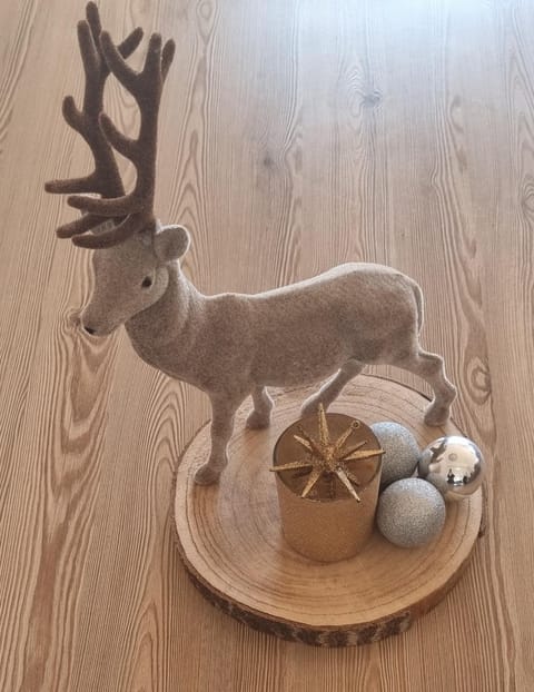 Belamor Apartment in Carinthia, Austria