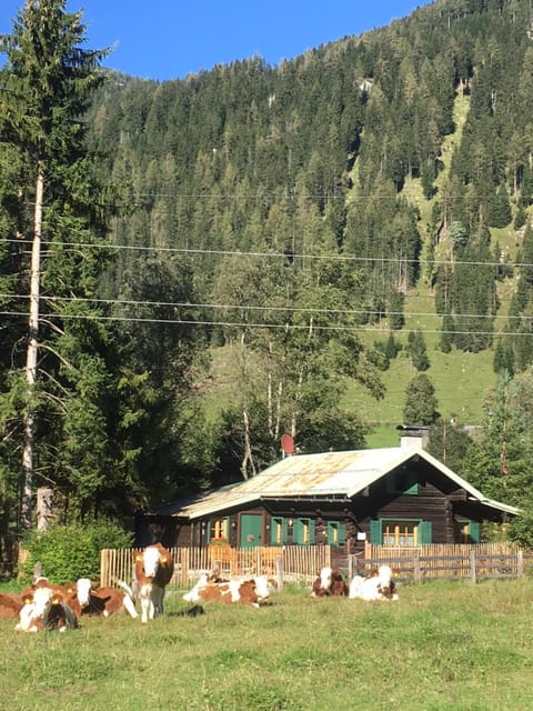 Off site, Day, Neighbourhood, Natural landscape, Summer, Garden