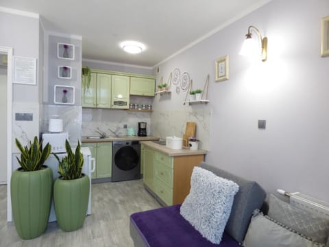 Kitchen or kitchenette, Living room, Seating area, minibar, pet friendly, stove, washing machine