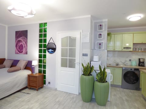 Kitchen or kitchenette, Living room, Seating area, minibar, stove, washing machine