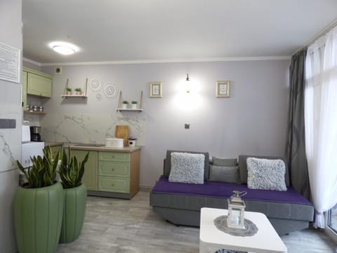 Kitchen or kitchenette, Living room, Seating area