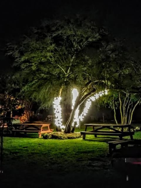 Top of the Hill RV Resort & Cabins Cabin in Rio Grande