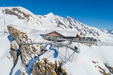 Property building, Winter