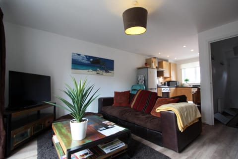 Living room, kitchen