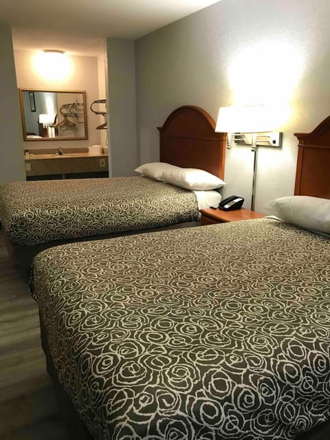 Bed, Photo of the whole room, Pets, Pets, Pets