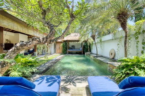 Garden, Garden view, Pool view, Swimming pool, sunbed