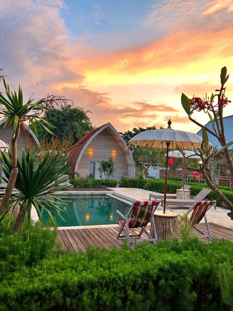 Day, Natural landscape, Garden, Garden view, Pool view, Swimming pool, Sunset, sunbed