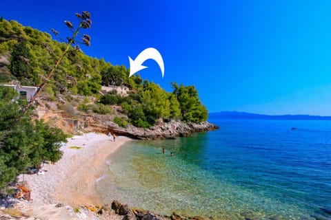 Property building, Natural landscape, Beach