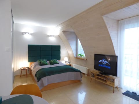 Communal lounge/ TV room, Bed, TV and multimedia, Photo of the whole room, Evening entertainment, Bedroom