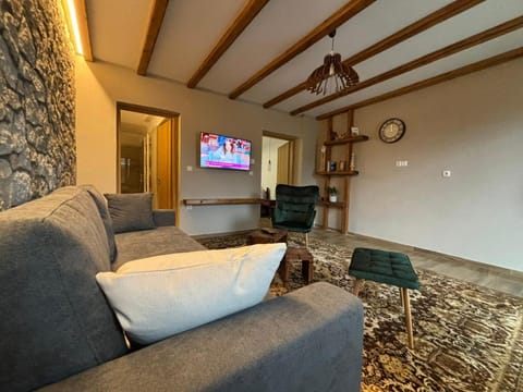 Communal lounge/ TV room, Living room, Seating area