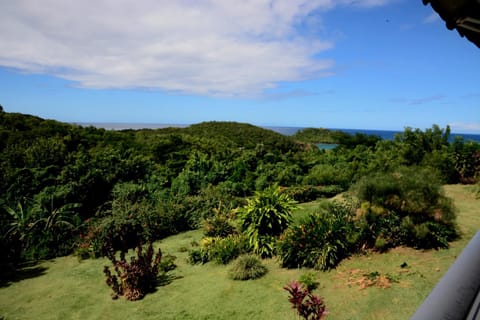 Garden, Garden view, Sea view