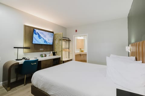 Bed, TV and multimedia, Photo of the whole room, Bedroom