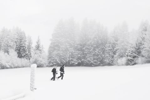 People, Natural landscape, Winter, Other