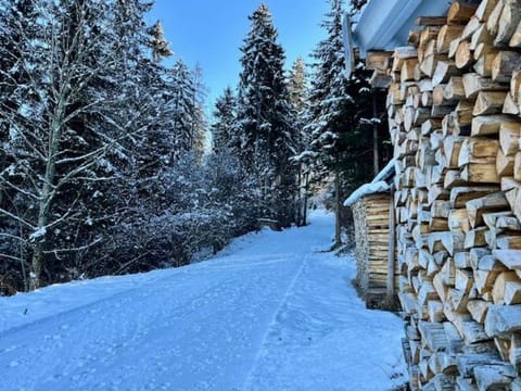 Neighbourhood, Natural landscape, Winter, View (from property/room), Hiking, Hiking, Area and facilities, Area and facilities