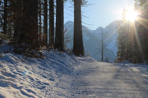 Natural landscape, Winter, Mountain view, Area and facilities
