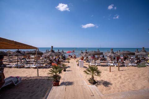 Day, Beach, Sea view, sunbed