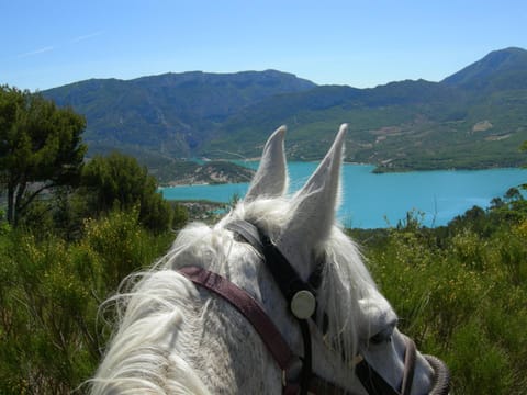 Off site, Summer, Lake view
