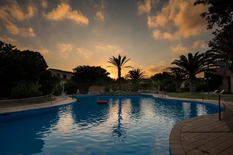 Garden, Swimming pool, Sunset