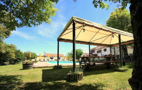 Garden, Garden, Swimming pool, Swimming pool