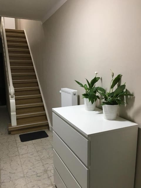 Hollandia City House House in Flanders