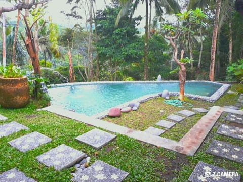 Garden, Swimming pool