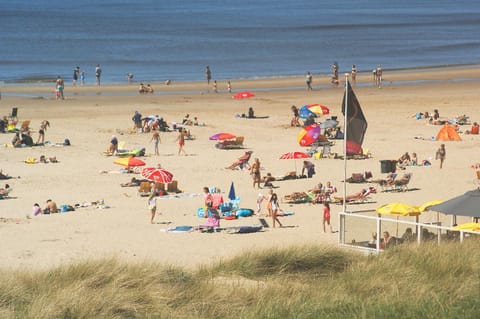 Day, Summer, Beach, Seasons, sunbed