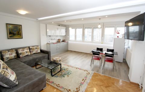 Penthouse Novi Beograd Apartment in Belgrade