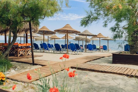 Restaurant/places to eat, Spring, Day, Natural landscape, Beach, Sea view, Breakfast, sunbed