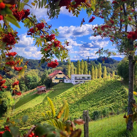 Property building, Day, Natural landscape, Garden view