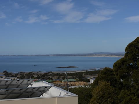 Spectacular Holiday Living House in Bridport