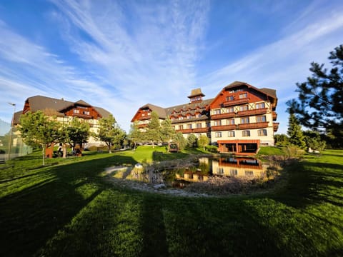 Property building, Natural landscape, Garden view