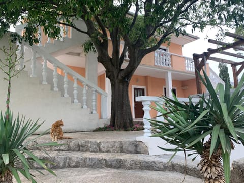 Apartmani Spomenka Apartment in Seline