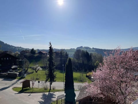 Fewo Ferienpark mit Swimmingpool und Aussicht 15 Apartment in Tyrol