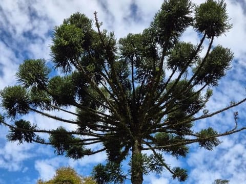 Vista Linda Hotel Hotel in Resende