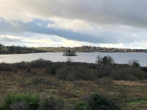 Garden, Garden, Balcony/Terrace