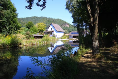 Property building, Natural landscape, Hiking