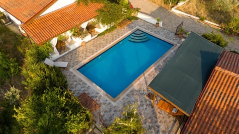 Garden, Swimming pool