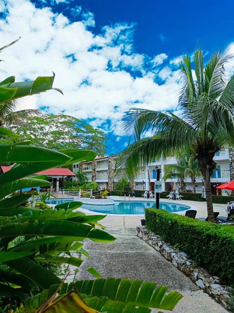 Garden, Garden view, Pool view, Swimming pool
