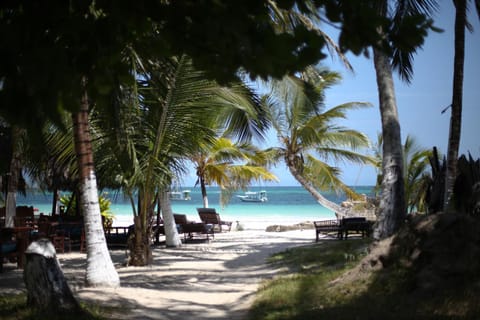 Beach, Sea view